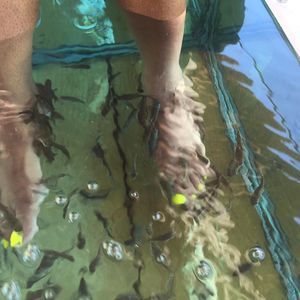 Meet your Posher, Rhetta